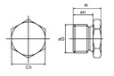 Blanking End Plug R 1/4 O'ring 