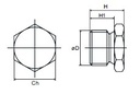 Blanking End Plug R 1/4 O'ring 